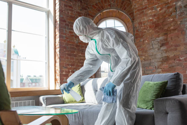 Mold Odor Removal Services in Old Westbury, NY